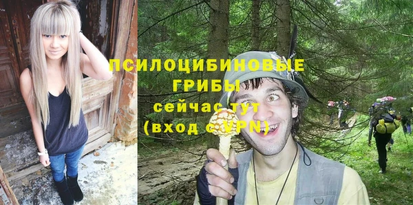 гашик Фурманов